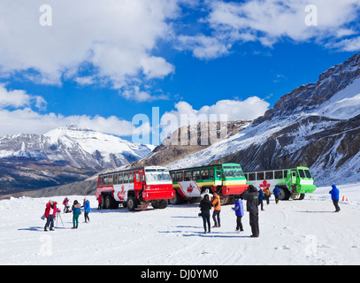 Brewsters Snocoach Ice Explorer Columbia Icefield Athabasca glacier in Jasper National Park Alberta Canada North America Stock Photo