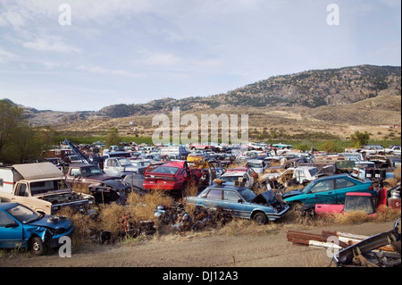 Cars In Junkyard; British Columbia, Canada Stock Photo