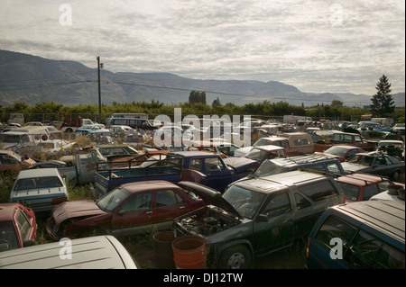 Cars In Junkyard; British Columbia, Canada Stock Photo