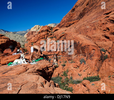Adventurers set up highline at Red Rock Canyon National Conservation Area, about 20 miles from Las Vegas Stock Photo