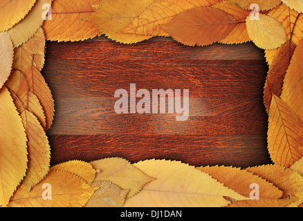 abstract frame made from cherry golden autumn leaves on beautiful wooden backdrop Stock Photo