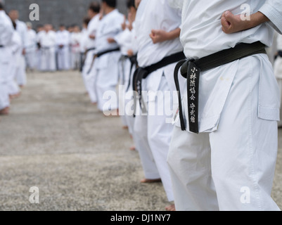 Karate demonstrations at Shuri Castle, Naha City, Okinawa, Japan by world's highest ranking masters on Karate Day. Stock Photo