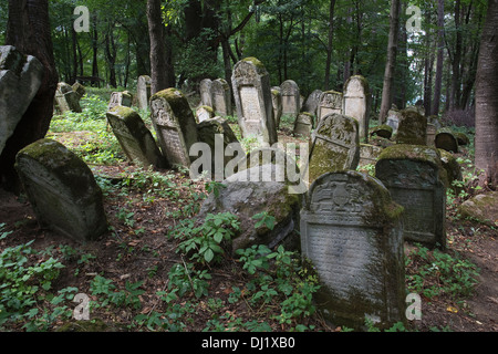Tombstones some dating back to the sixteenth century in one of Poland's oldest Kirkut Jewish cemetery Lesko Bieszczady Poland Stock Photo