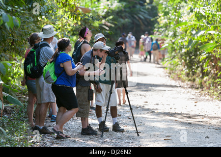 Tourists gather around a guide to get a look at the wildlife at the Manuel Antonio National Park in Costa Rica. Stock Photo