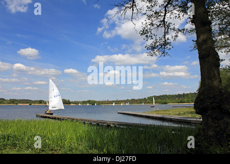 Frensham Ponds, Farnham, Surrey, England, UK. Stock Photo