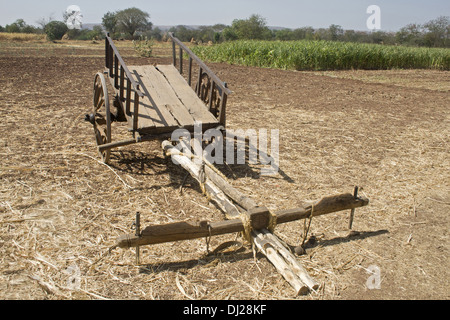 Bullock cart, Pune, Maharashtra, India, Asia Stock Photo - Alamy