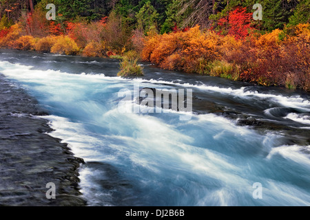 Central Oregon's Wild and Scenic Metolius River rushes over Wizard Falls  in the Deschutes National Forest. Stock Photo