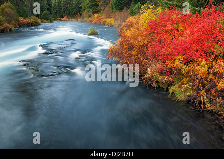 Central Oregon's Wild and Scenic Metolius River rushes over Wizard Falls  in the Deschutes National Forest. Stock Photo