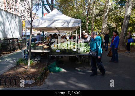 Greenmarket food market, Upper west side, Manhattan, New York City, United States of America. Stock Photo