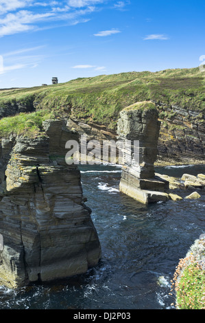 dh Stanger Head FLOTTA ORKNEY Cletts stone sea stacks seacliffs Stock Photo