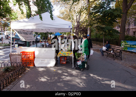 Greenmarket food market, Upper west side, Manhattan, New York City, United States of America. Stock Photo