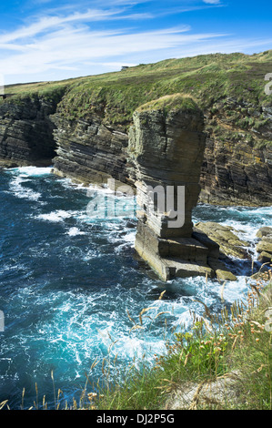 dh Stanger Head FLOTTA ORKNEY Cletts stone sea stacks seacliffs cliffs rocks stack Stock Photo