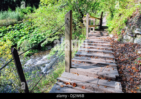 Walking bridge in the Black Forest Germany Stock Photo