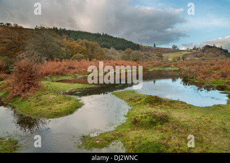 Small pond near the East Dart river in autumn Dartmoor national park Devon Uk Stock Photo