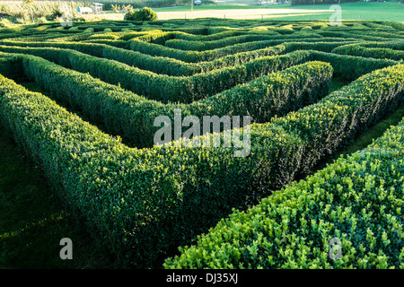 hedge-maze-in-switzerland-