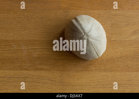 A photograph of a fossilized sea urchin on a wooden background Stock Photo