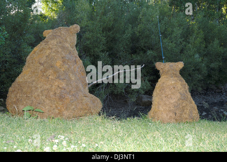 Shrub Bear Artwork at Sorenson's Resort in Hope Valley near Lake Tahoe Stock Photo