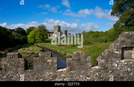 Tintern Abbey, Saltmills, County Wexford, Ireland, Europe Stock Photo