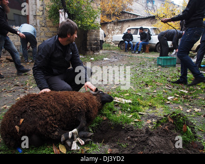 Tabaski or Eid Al Adha. The slaughter of a goat in a 