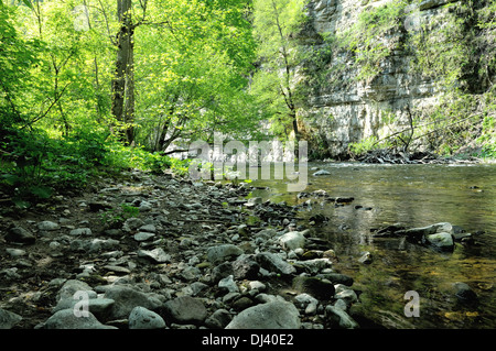 Wutach ravine in the Black Forest Germany Stock Photo