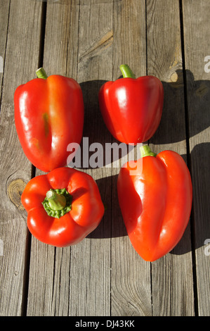 Capsicum annuum, Paprika, red pepper Stock Photo