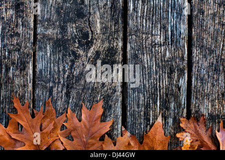 autumn background Stock Photo