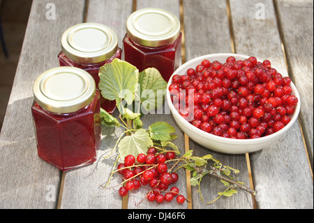 Redcurrant-Jam Stock Photo