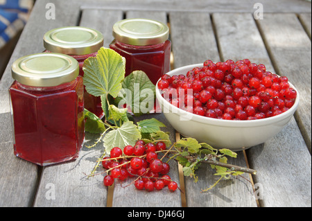 Redcurrant-Jam Stock Photo