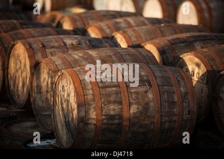 Whisky casks piled up in a warm evening light Stock Photo