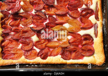 Plum Cake Stock Photo