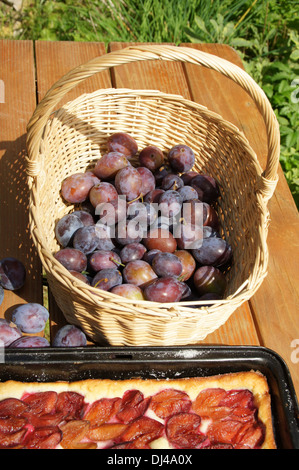 Plums Stock Photo