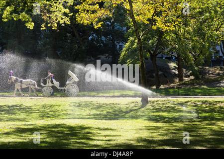 Sprinkler Watering Lawn in Central Park, NYC, USA Stock Photo