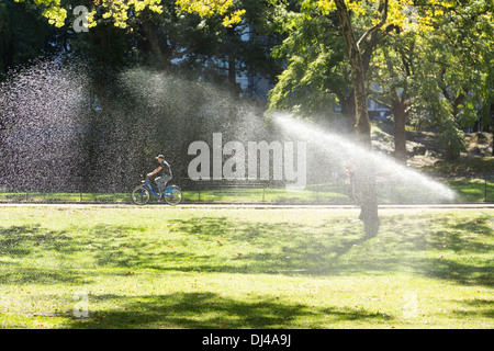 Sprinkler Watering Lawn in Central Park, NYC, USA Stock Photo