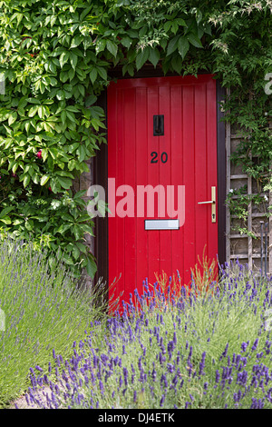 Red door with lavender in garden, Talgarth, Wales, UK