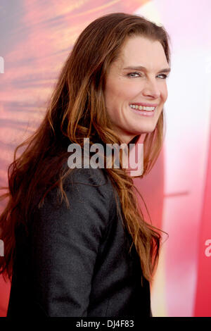 Brooke Shields attends the 'Hunger Games: Catching Fire' New York Premiere at AMC Lincoln Square Theater on November 20, 2013 in New York City Stock Photo