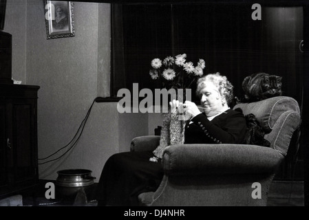 1940s, historical, an elderly lady sitting in an armchair in a lounge knitting, England, UK, with her pet cat resting on the top of the chair. Stock Photo