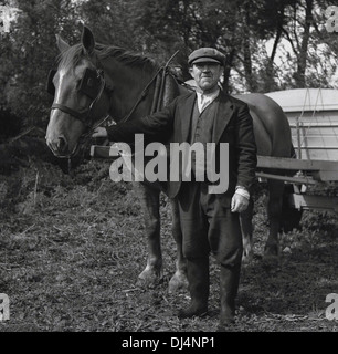 Historical picture from 1950s, Norfolk, England, UK, a proud small holder or small farmer in the clothes of the era and wearing a flat cap, standing on his land with his horse attached to a trailer. Stock Photo