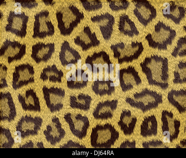 Texture of a short sand color leopard fur Stock Photo