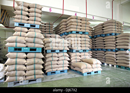Stacked of Rice sacks on Plastic Pallet in warehouse. Stock Photo