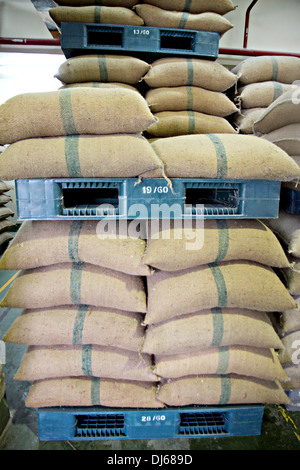 Stacked of Rice sacks on Plastic Pallet in warehouse. Stock Photo