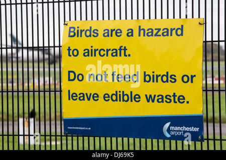 Signs about bird strikes on security fencing at Manchester Airport, UK, with a Crow sat behind the fence and a plane landing. Stock Photo