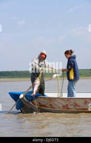 Native Yupik Eskimo Father & Daughter Subsistence Drift Netting For Salmon Kuskokwim River We Alaska Stock Photo