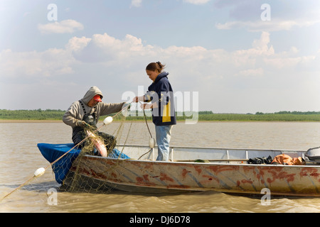 Native Yupik Eskimo Father & Daughter Subsistence Drift Netting For Salmon Kuskokwim River We Alaska Stock Photo