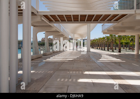 A view down the shaded walkway at the newly redeveloped marina in Malaga Stock Photo