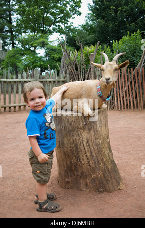 Toddler Petting Goat in a Petting Zoo at the Louisville Zoo in Louisville, Kentucky Stock Photo