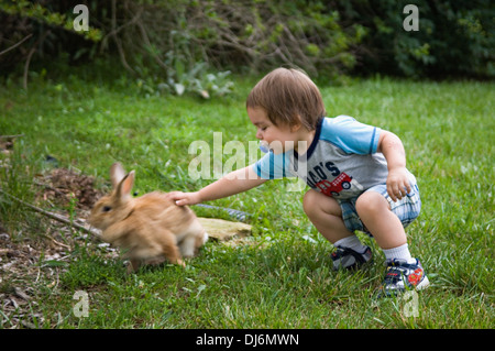 Toddler Petting Domestic Bunny in Suburban Yard Stock Photo