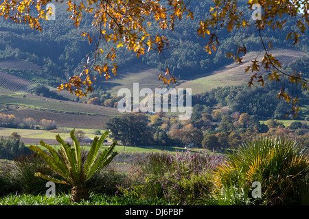 South Africa, Fall Scenery near Stellenbosch. Stock Photo