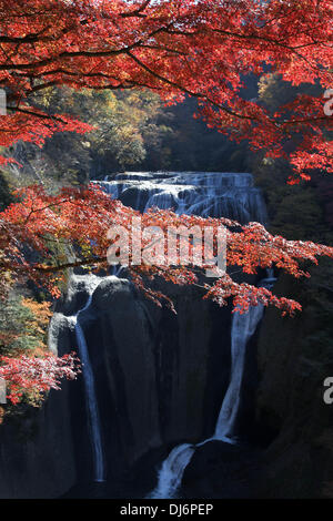 Daigo, Japan. 14th Nov, 2013. Maple trees autumn leaves along Fukuroda Falls on November 23, 2013in Daigo, Ibaraki, Japan. Fukuroda Falls also one of the 100 best waterfalls in Japan. © Koichi Kamoshida/Jana Press/ZUMAPRESS.com/Alamy Live News Stock Photo