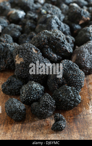 black-prigord-truffles-grown-in-north-carolina-divine-aromatic-and-dj6ymc.jpg