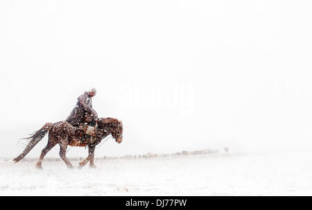 Mar 28, 2012 - Ulziit, Uvurkhangai, Mongolia - A herder rides out to collect his animals during a snowstorm. Over the past decade, Mongolia has experienced an uncommonly high number of dzud - severe winters that decimate herd populations. Mongolian pastoral herders make up one of the world's largest remaining nomadic cultures. For millennia they have lived on the steppes, grazing their livestock on the lush grasslands. But today, their traditional way of life is at risk on multiple fronts. Alongside a rapidly changing economic landscape, climate change and desertification are also threatening Stock Photo